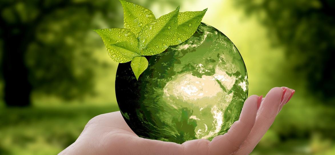 natura
