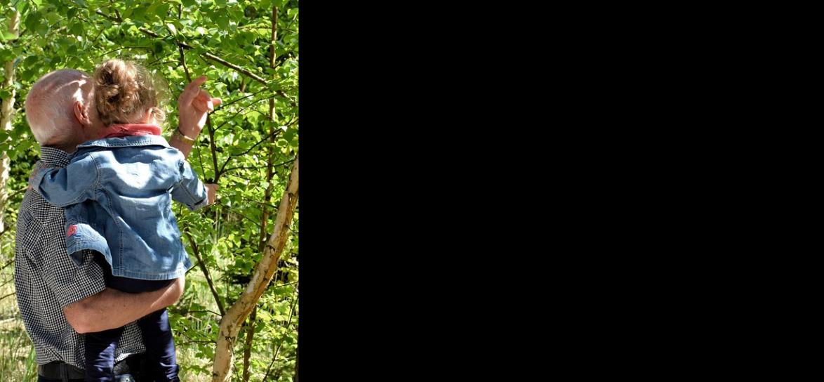 zdjęcie przedstawiające starszego mężczyznę, ktory pokazuje drzewo małej dziewczynce