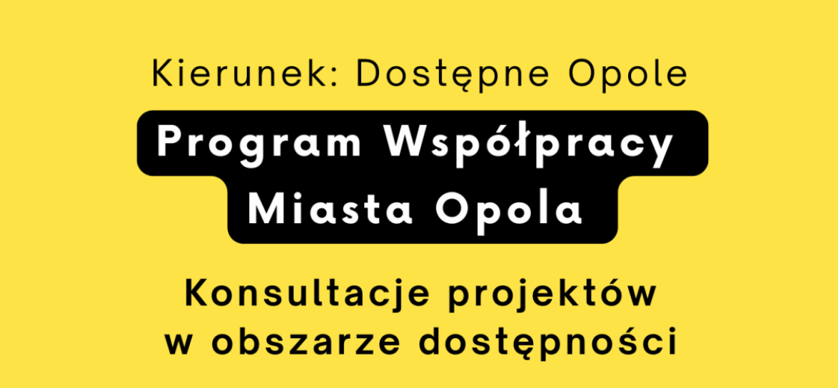 Plakat promujący konsultacje w obszarze dostępności zadań publicznych w ramach programów współpracy z organizacjami pozarządowy