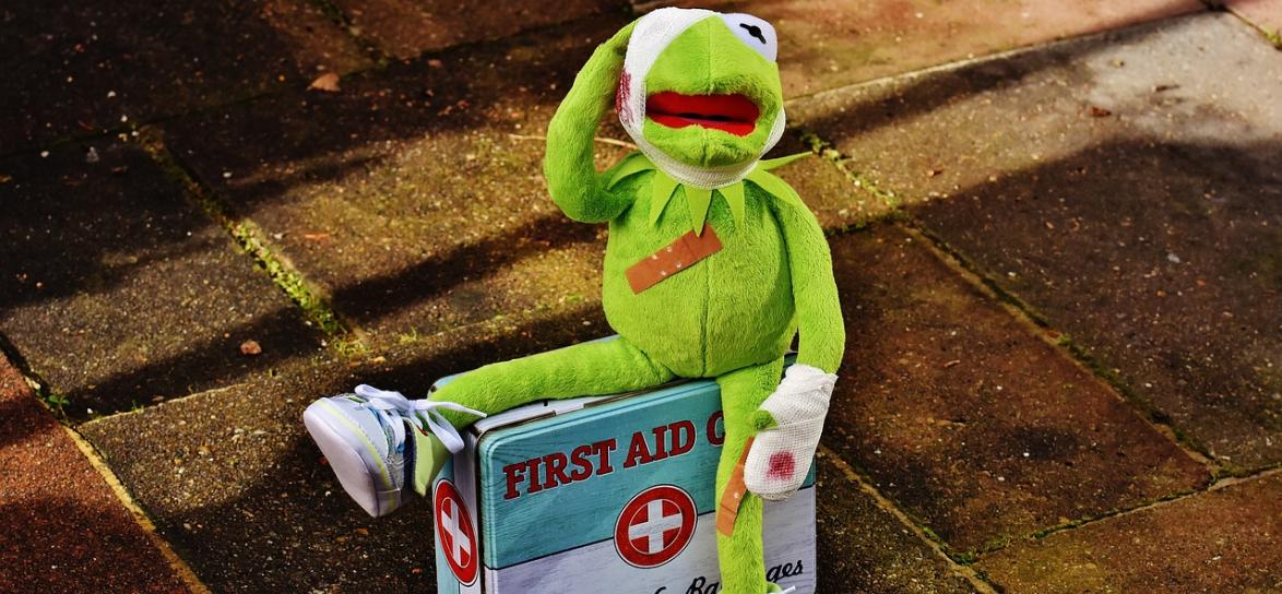 Pierwsza pomoc - żaba