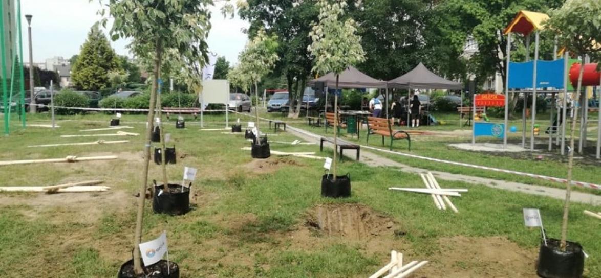 Nasadzenia drzew i krzewów na terenie rekreacyjno–wypoczynkowym przy ul. Prószkowskiej w Opolu.