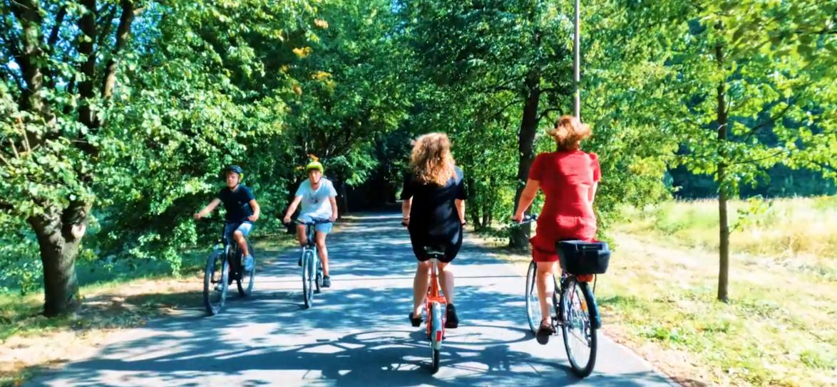 Rowerzyści jadący na Wyspie Bolko