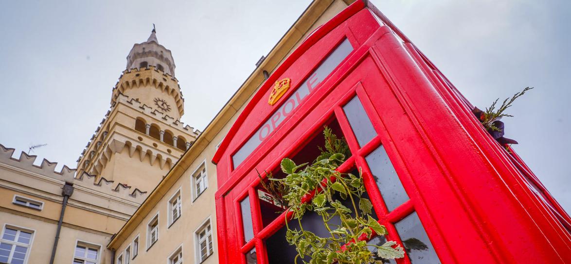 Czerwona budka telefoniczna na tle wieży ratusza. W budce są rośliny.