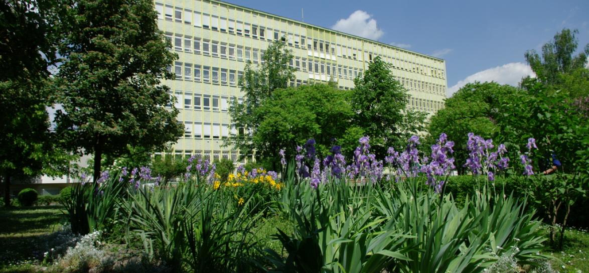 Wojewódzki Szpital Specjalistyczny im Św. Jadwigi w Opolu