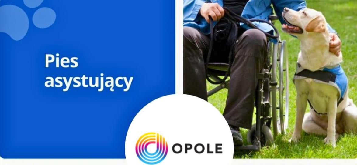 baner ze zdjęciami psów asystujących 