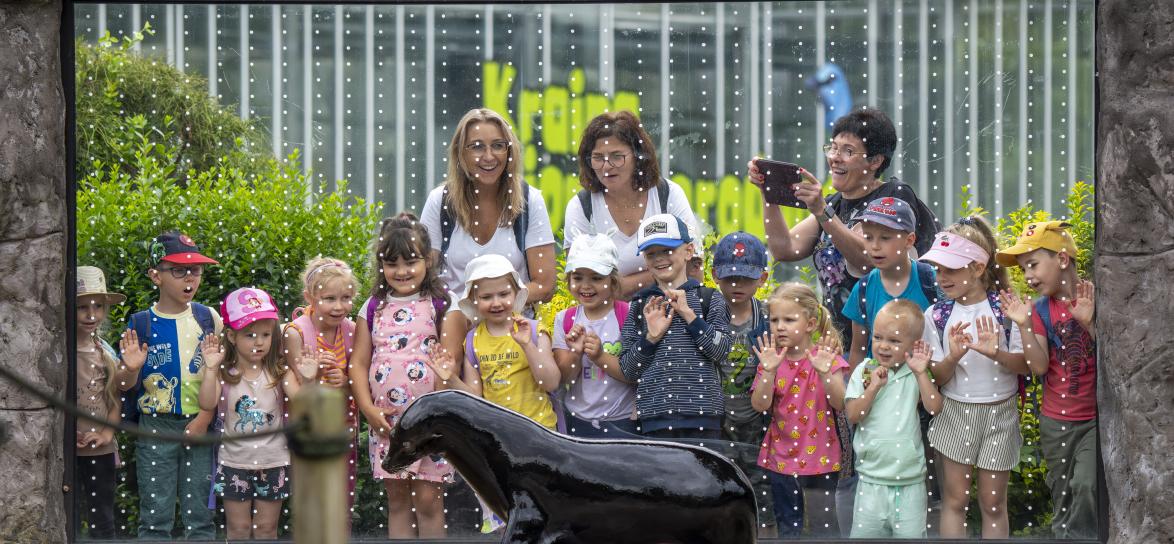 ludzie oglądający uchatkę zoo