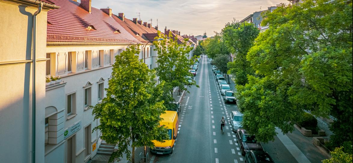 ulica, zieleń, kamienice, chodnik