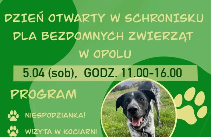 plakat wydarzenia, informacje zawarte w tekście