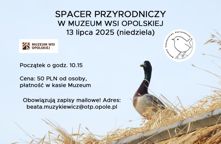 baner wydarzenia, informacje w tekście