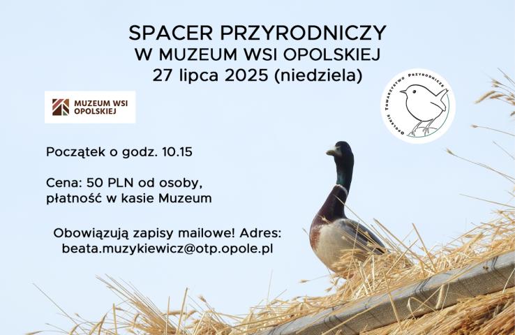 baner wydarzenia, informacje w tekście