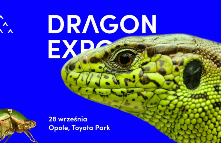 baner wydarzenia, informacje w tekście