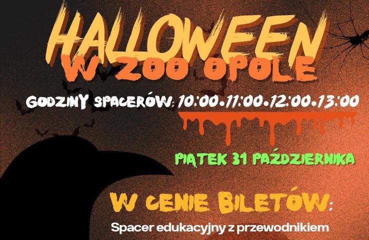 plakat wydarzenia, informacje zawarte w tekście