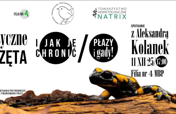 baner wydarzenia, informacje w tekście