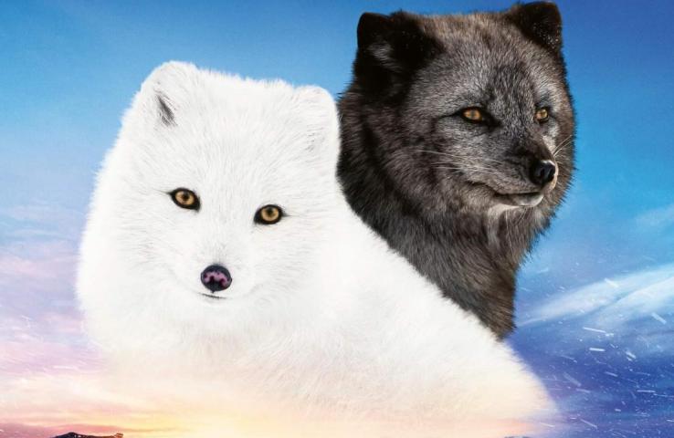 plakat filmu, informacje zawarte w tekście