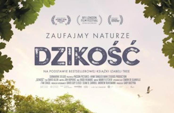 plakat filmu, informacje zawarte w tekście