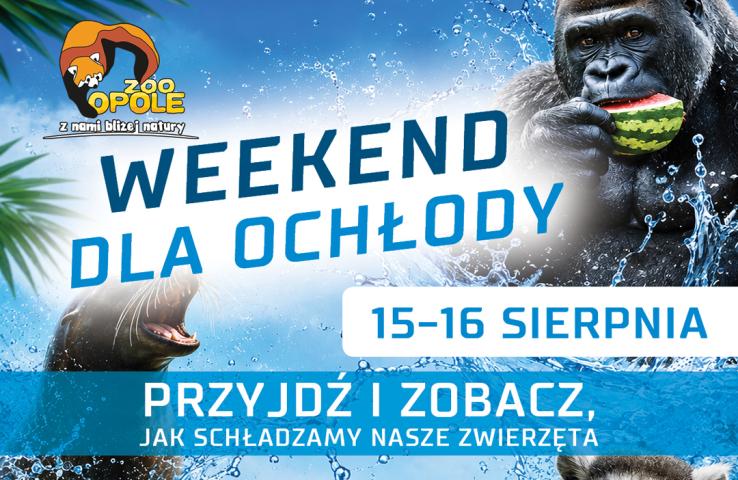 Plakat wydarzenia, informacje zostały zawarte w komunikacie