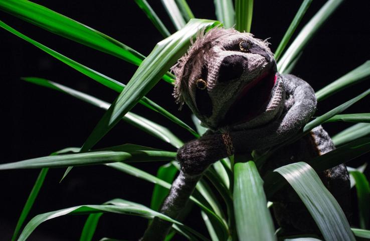 zdjęcie ze spektaklu "Mała draka o zwierzakach", fot. G. Gajos