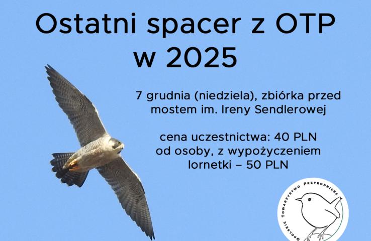 baner wydarzenia, informacje w tekście