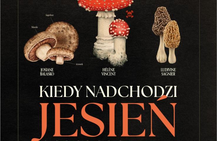 plakat filmu, informacje zawarte w tekście