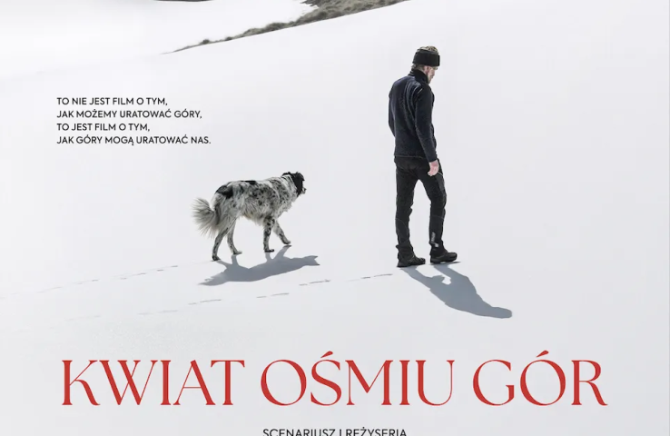 plakat filmu, informacje zawarte w tekście