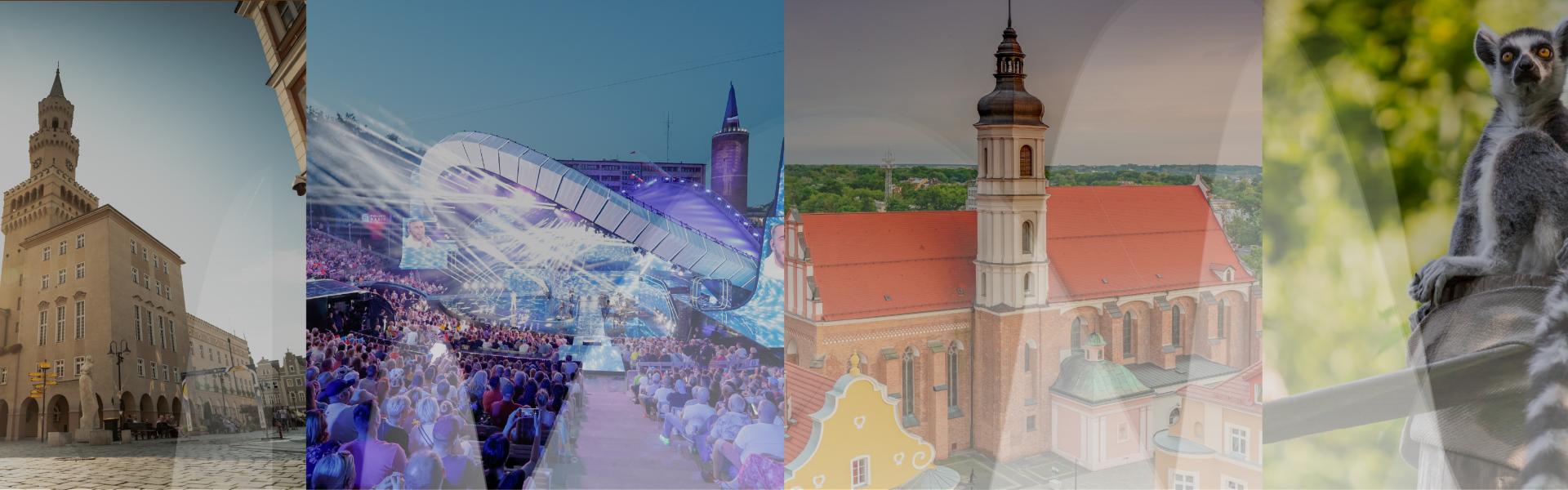 baner dekoracyjny