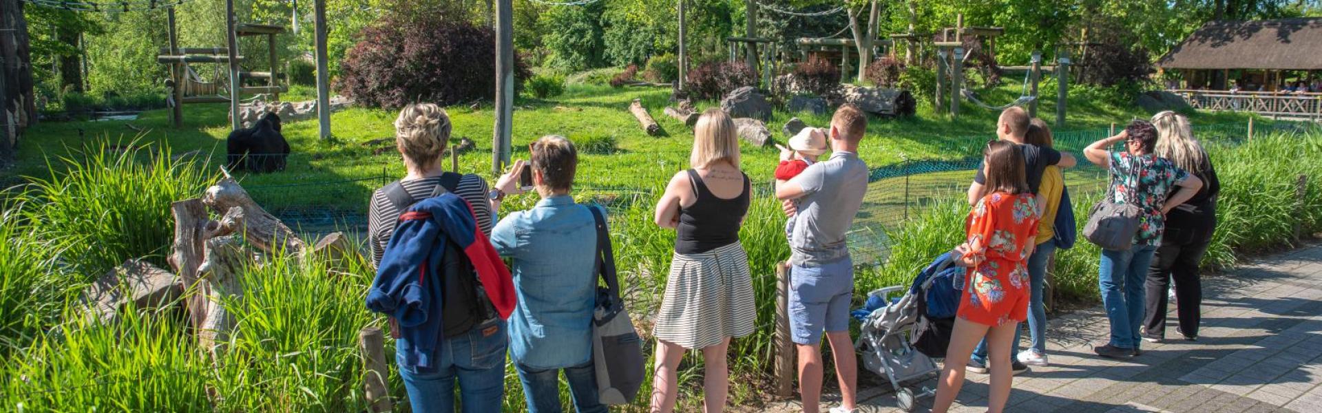 Muzeum Polskiej Piosenki