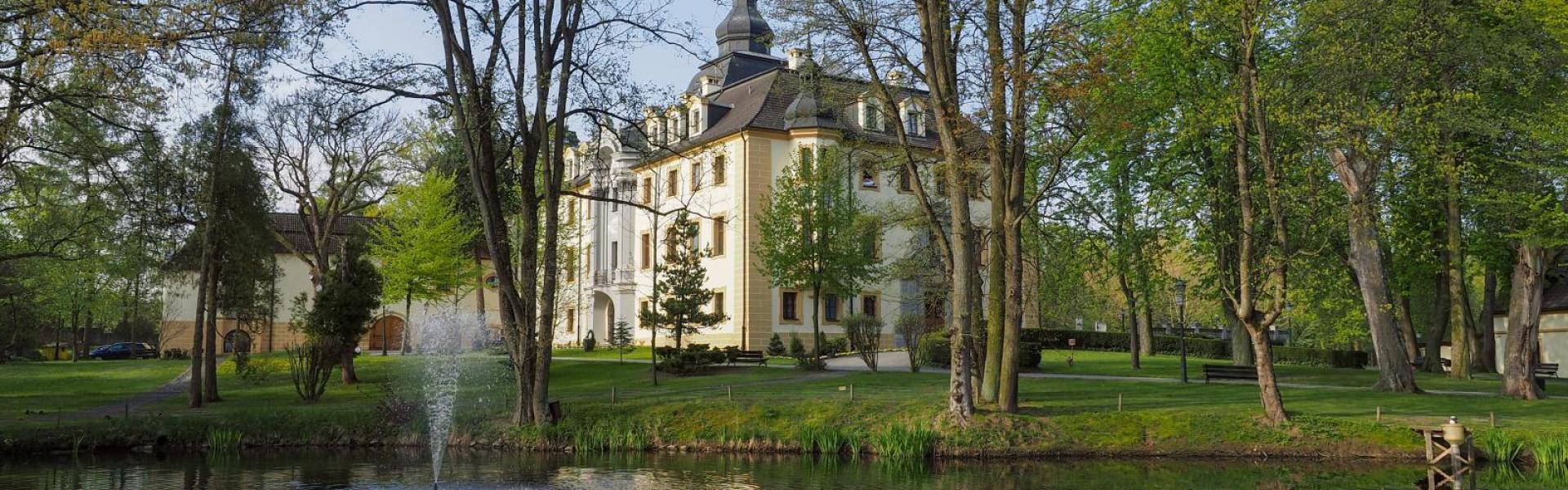 Kamień Śląski, Pałac Odrowążów