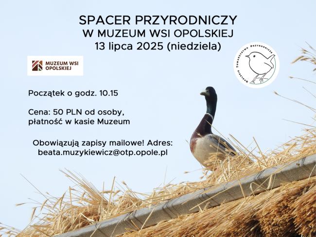 baner wydarzenia, informacje w tekście