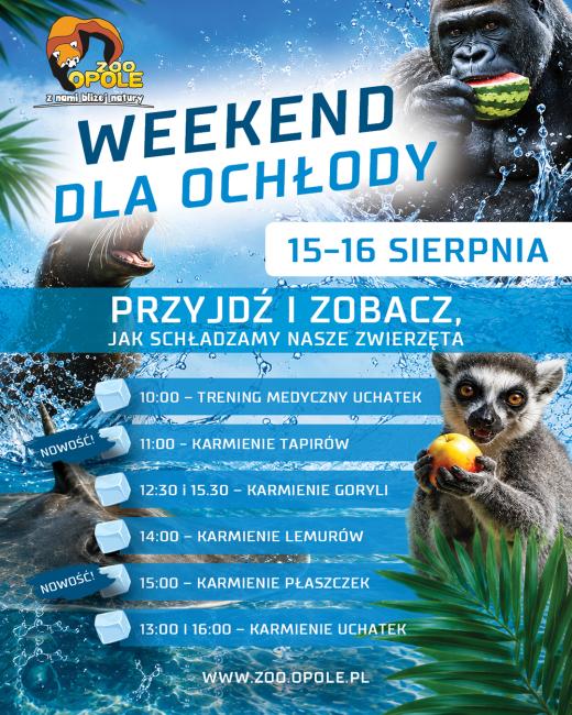Plakat wydarzenia, informacje zostały zawarte w komunikacie
