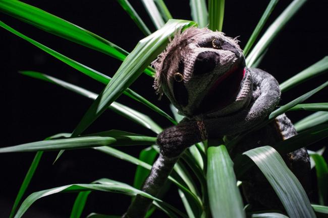 zdjęcie ze spektaklu "Mała draka o zwierzakach", fot. G. Gajos