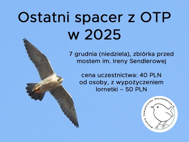 baner wydarzenia, informacje w tekście