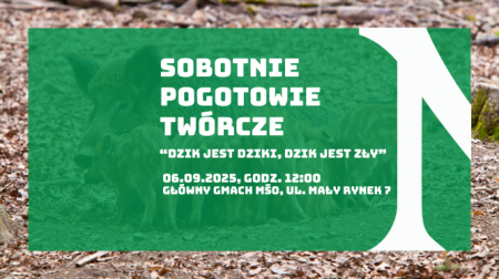 baner wydarzenia, informacje w tekście