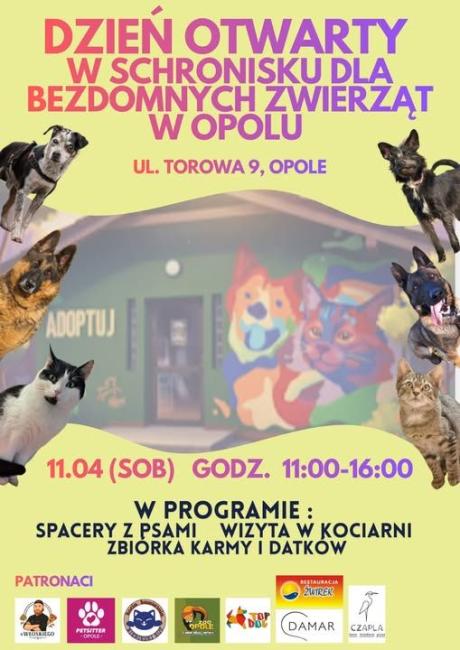 plakat wydarzenia, informacje zawarte w tekście