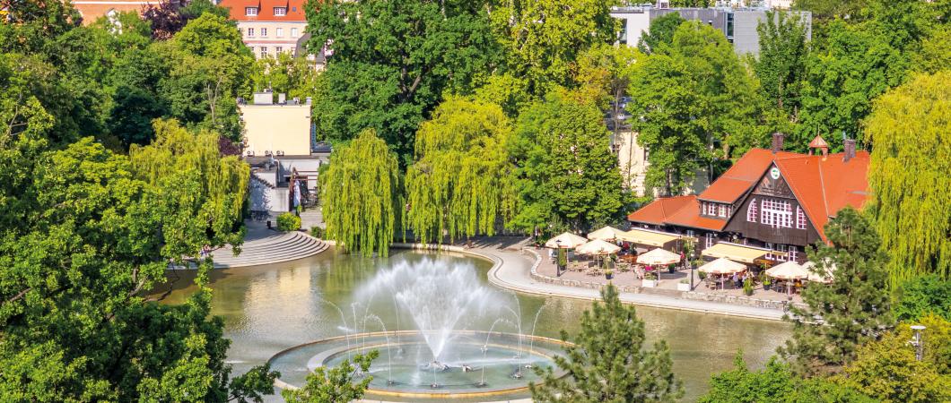 Widok na stawek z grającą fontanną