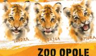 baner z informacjami