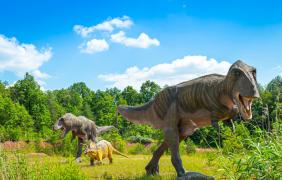 Jurapark w Krasiejowie 