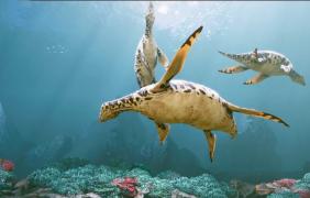 Jurapark w Krasiejowie 