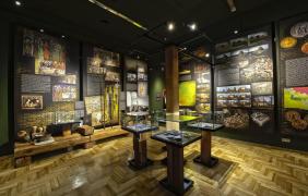 Muzeum Śląska Opolskiego