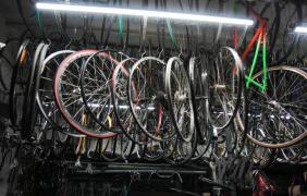 rowery, fot. Ania Parktina