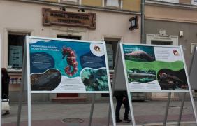 fot. Ania Parkitna
