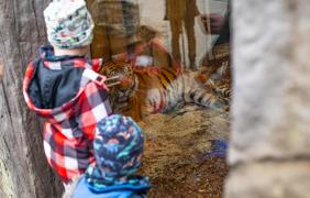 Zoo Opole