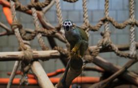 Pawilon zoo