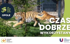 35 lat samorządności