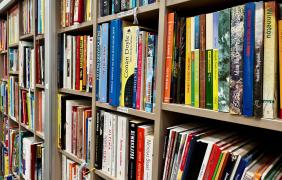 zdjęcie przedswtawiające regał z książkami