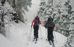 osoby idą w góry, śnieg, drzewa