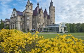 kwitnące azalie, zamek w mosznej