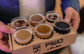 Święto Piwa - zbliżenie na kufle z piwem