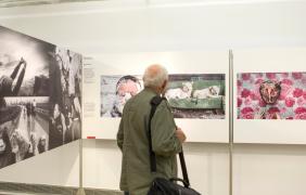 World Press Photo