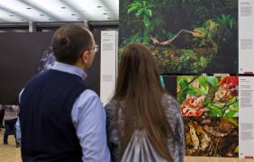 World Press Photo