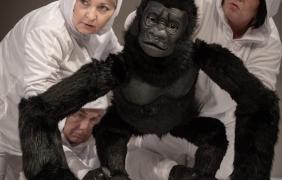 Spektakl „Ja goryl, Ty człowiek”  